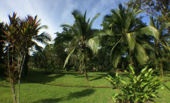 Caribbean Paradise Eco-Lodge