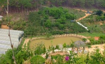 Zen Valley Dalat