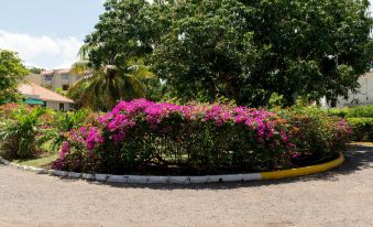 Sea Shell Beach Studio at Montego Bay Club Resort