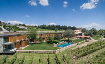 a large house with a swimming pool surrounded by greenery and a vineyard in the background at Torre de Gomariz Wine & Spa Hotel