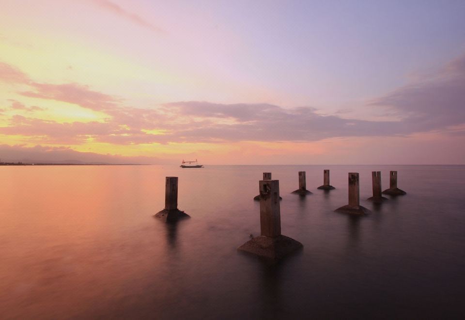 파드마사리 리조트 로비나 이미지
