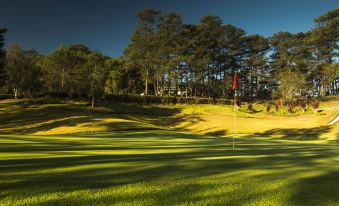 a golf course with green grass , trees , and trees in the background , as well as a red flag in the foreground at The Manor at Camp John Hay