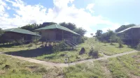 Ikoma Wild Camp Hotels in Serengeti
