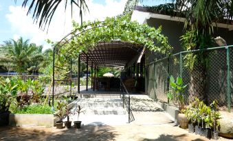 5. Phang-Ng..