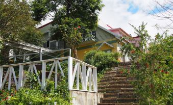 Prado Hill Holiday