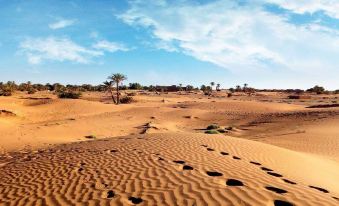 M'Hamid Desert Camp Tours