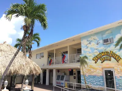 Hollywood Beach Seagull