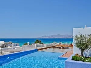 Naxos Island Hotel