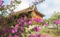 Joglo Exotico Hotels in Bumiaji