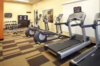 Courtyard Tampa Oldsmar - Gym