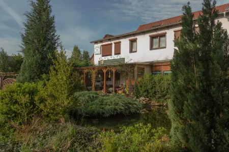 Pension Zum Schwanenteich