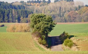 SaarlandTraum Weihermuhle