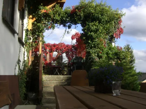 Hotel Dachsberger-Hof Отели в г. Тодтмос