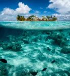 Milaidhoo Maldives Hotel a Kamadhoo