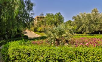 Essaouira Lodge