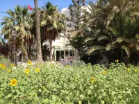 Hotel Djerba Orient Hotel di Mezraia