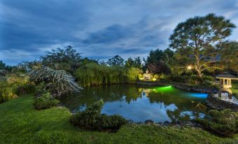 a serene garden with a pond , trees , and bushes illuminated by lights at night , creating a peaceful atmosphere at Koanze Luxury Hotel & Spa