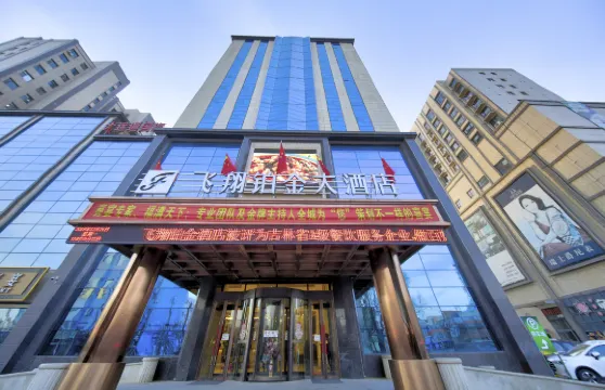 鎮賚飛翔鉑金大酒店