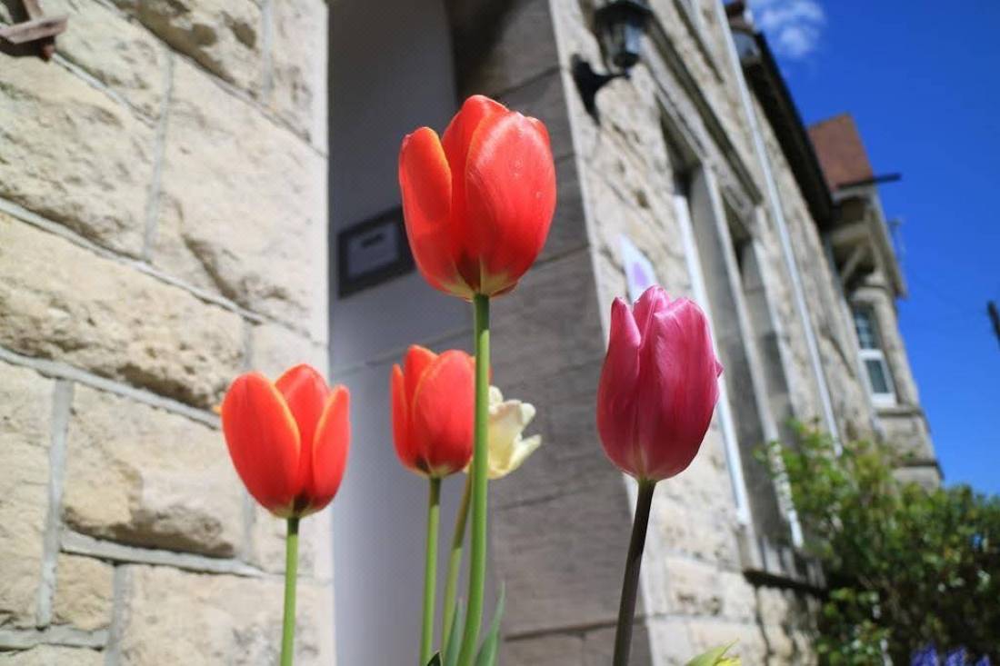Millbrook Guest House-Swanage Updated 