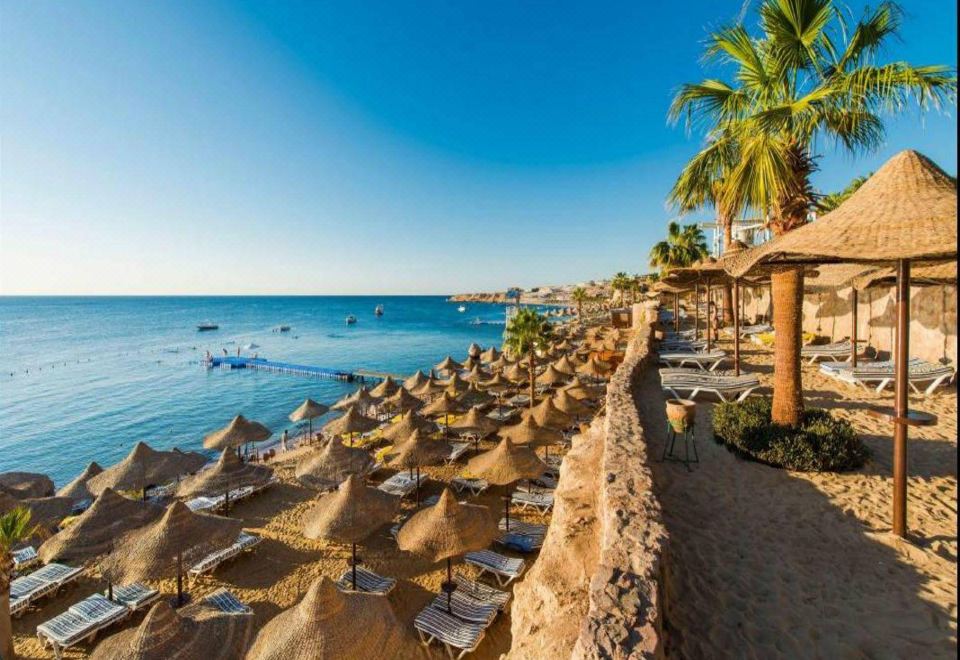 콩코드 엘 살람 호텔