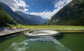 Hotel Plesnik Logarska Dolina