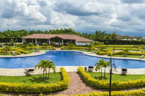 호텔 캄페스트레 카페 카페