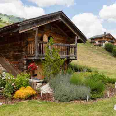 Chalet-Hôtel La Ferme du Chozal Hotel Exterior