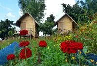 Baan AingDoi Homestay Hotels in Chiang Dao