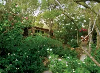Hotel Capo d'Orso Thalasso & Spa Hotels in Palau