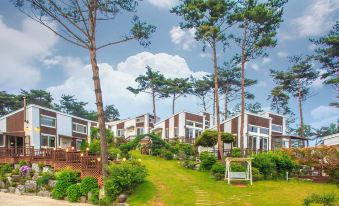 Taean Solmi Label Pension