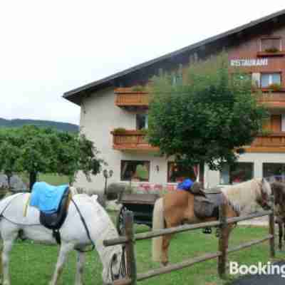 Logis Hotel les Playes Hotel Exterior