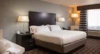 هوليداي إن إكسبرس لو كلير ريفرفرونت- دايفينبورت باي آيتش جي