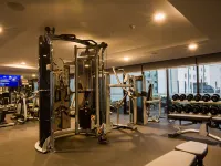 Pullman Sydney Airport - Gym