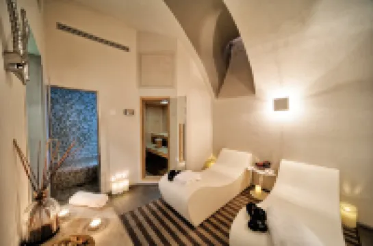 Trevi Palace Luxury Inn