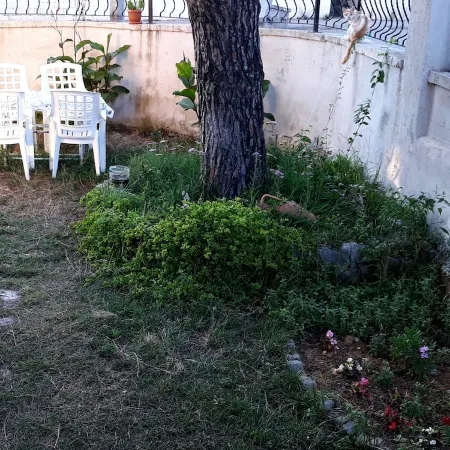 Cerit Pansiyon