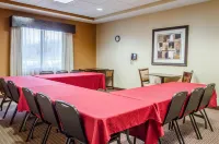 Comfort Suites Lewisburg Hotels in East Buffalo Township