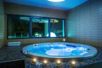 Radisson Blu M'Bamou Palace Hotel, Brazzaville - spa
