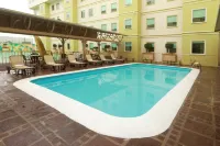 Staybridge Suites QUERETARO by IHG - piscine