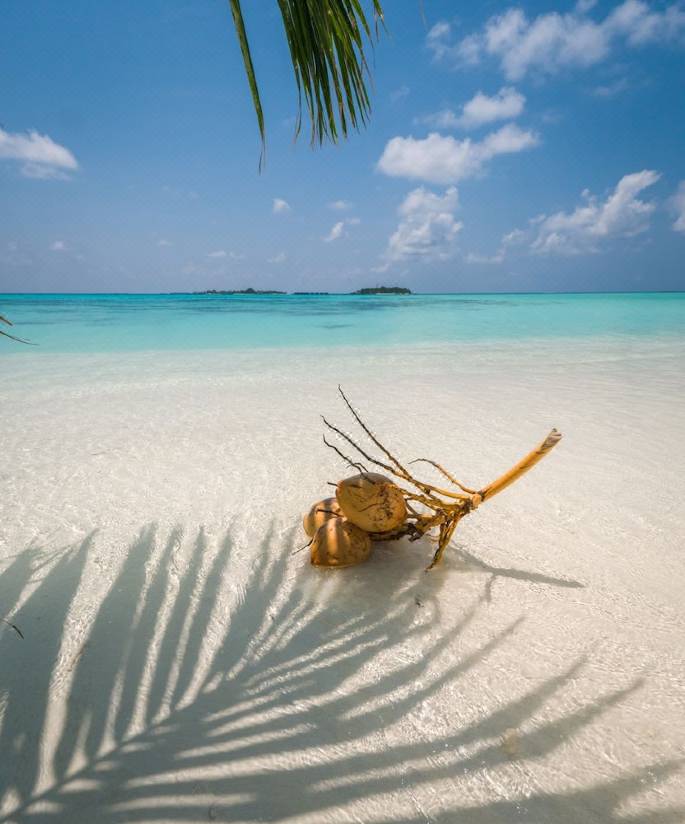 Ukulhas Villa モルディブ を宿泊予約 22年安い料金プラン 口コミ 部屋写真 Trip Com