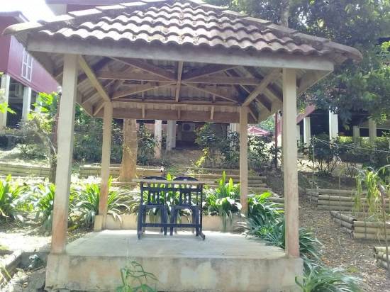 Serene Resort Training Centre Room Reviews Photos Kampung Janda Baik 2021 Deals Price Trip Com
