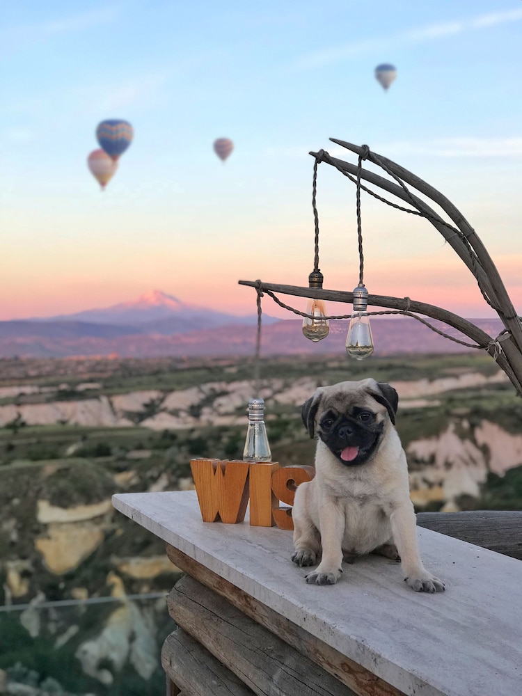 Wish Cappadocia