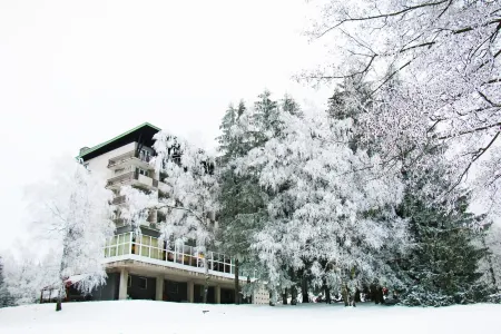 Hotel Medlov Отели в г. Свратка