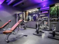 Ibis Milano Centro - Gym
