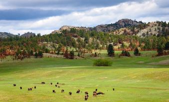 Super 8 by Wyndham Custer/Crazy Horse Area