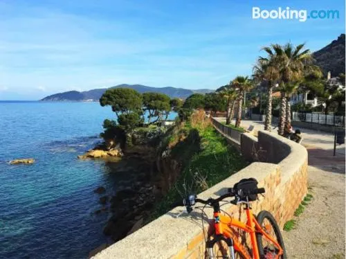 艾麗西查姆住宿加早餐旅館