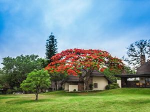 사비 리버 선 리조트