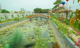 Tam Coc Rice Fields Bungalow