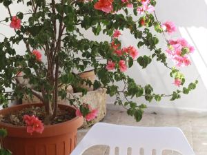 bb dragonetti holiday home salento