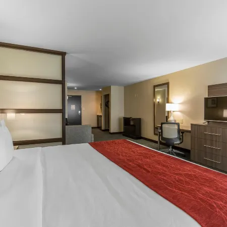 Comfort Inn & Suites Airport North