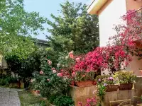 Cicladi Milos Hotel a 